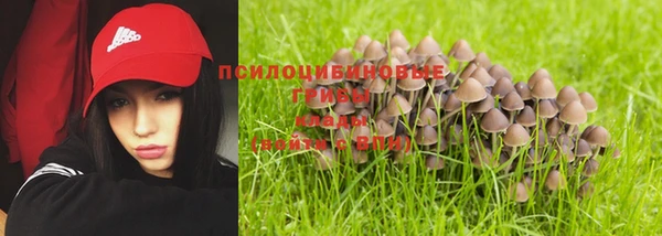 первитин Надым