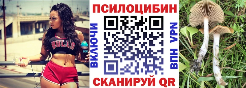 кракен ТОР  Краснодар  Псилоцибиновые грибы мухоморы 